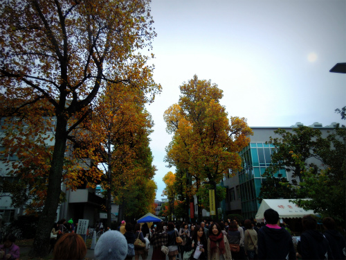 DSCN8556s.jpg