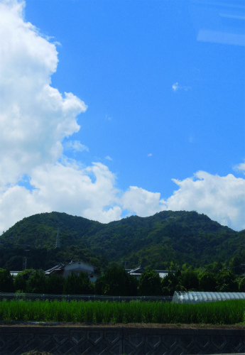 DSCN9220s.jpg