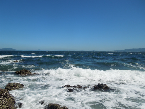 DSCN9357s.jpg