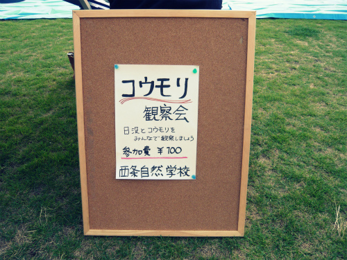 P1040070s.jpg