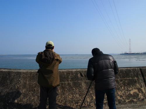 P2241732.jpg