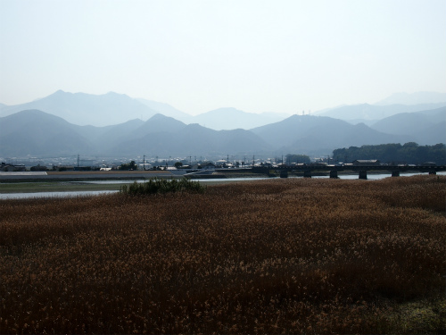 P2241734.jpg