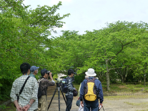 aP1040714.jpg