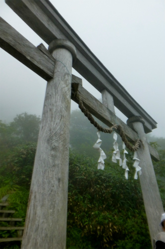 aP1050678.jpg