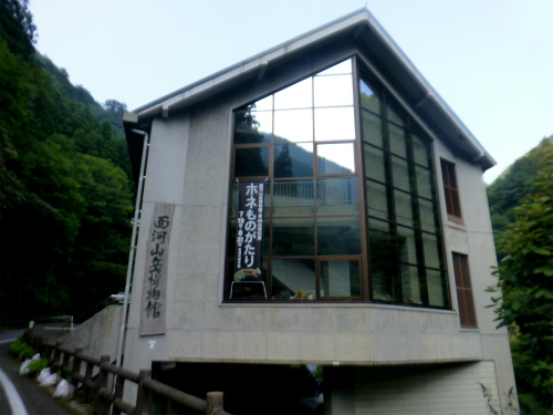 aP1050836.jpg