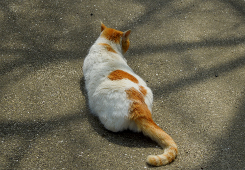 DSCN9392s.jpg