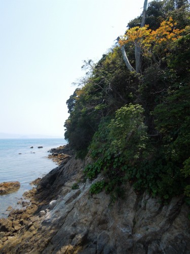 DSCN9931.jpg