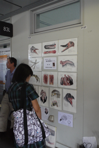 P1110471.jpg