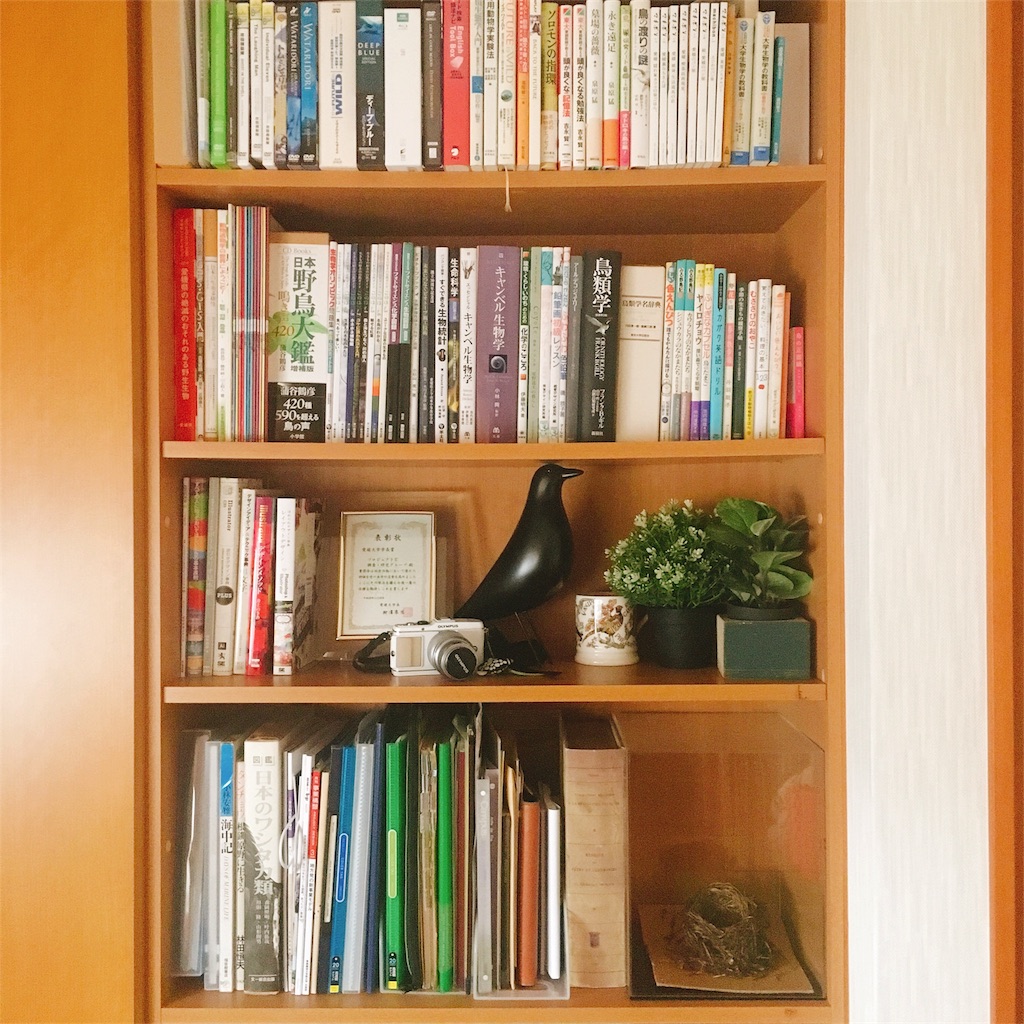 f:id:qsmet:20180321151208j:image