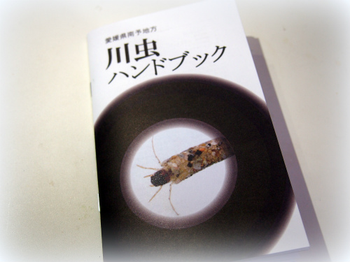 aP2131645.jpg