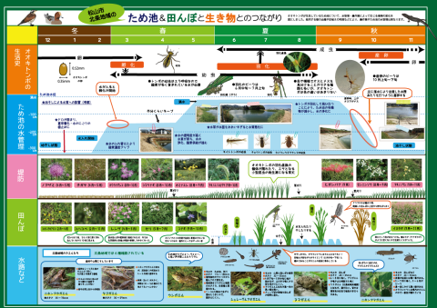 f:id:qsmet:20180326145032p:plain