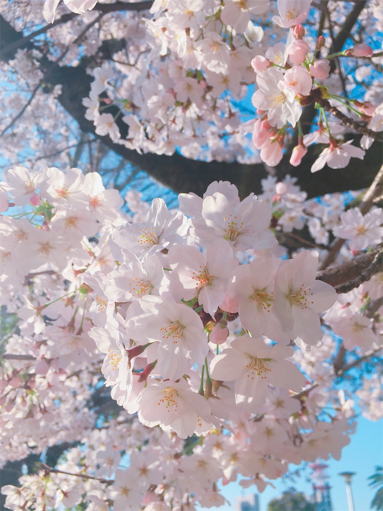 f:id:qsmet:20180329212433j:image f:id:qsmet:20180329212433j:image