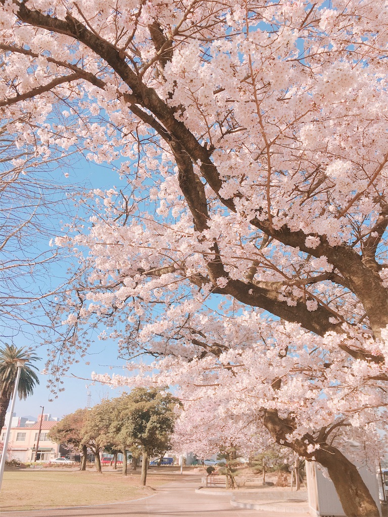 f:id:qsmet:20180329213002j:image f:id:qsmet:20180329213002j:image