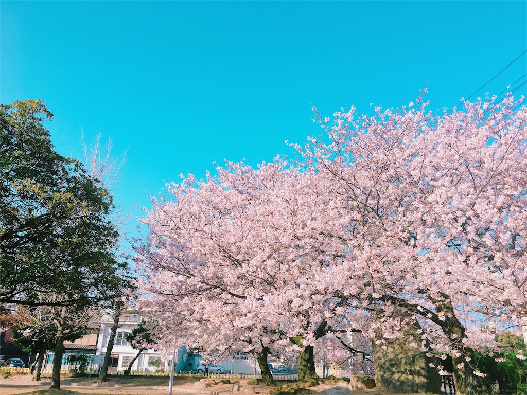 f:id:qsmet:20180329213055j:image f:id:qsmet:20180329213055j:image