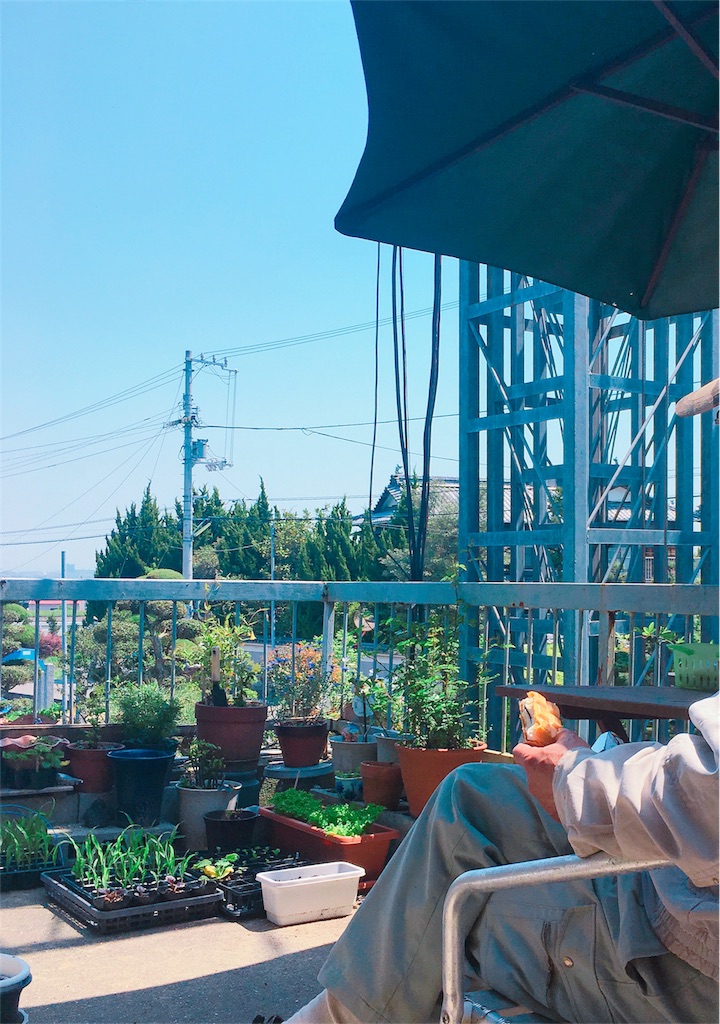 f:id:qsmet:20180430090256j:image