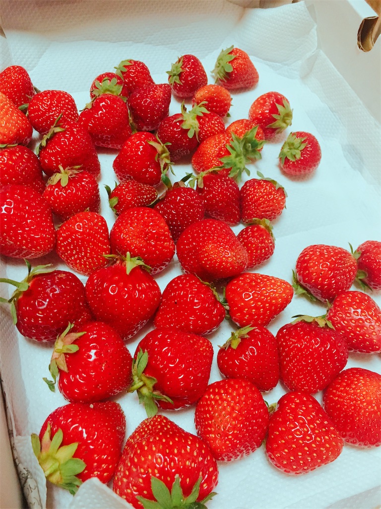 f:id:qsmet:20180505221855j:image