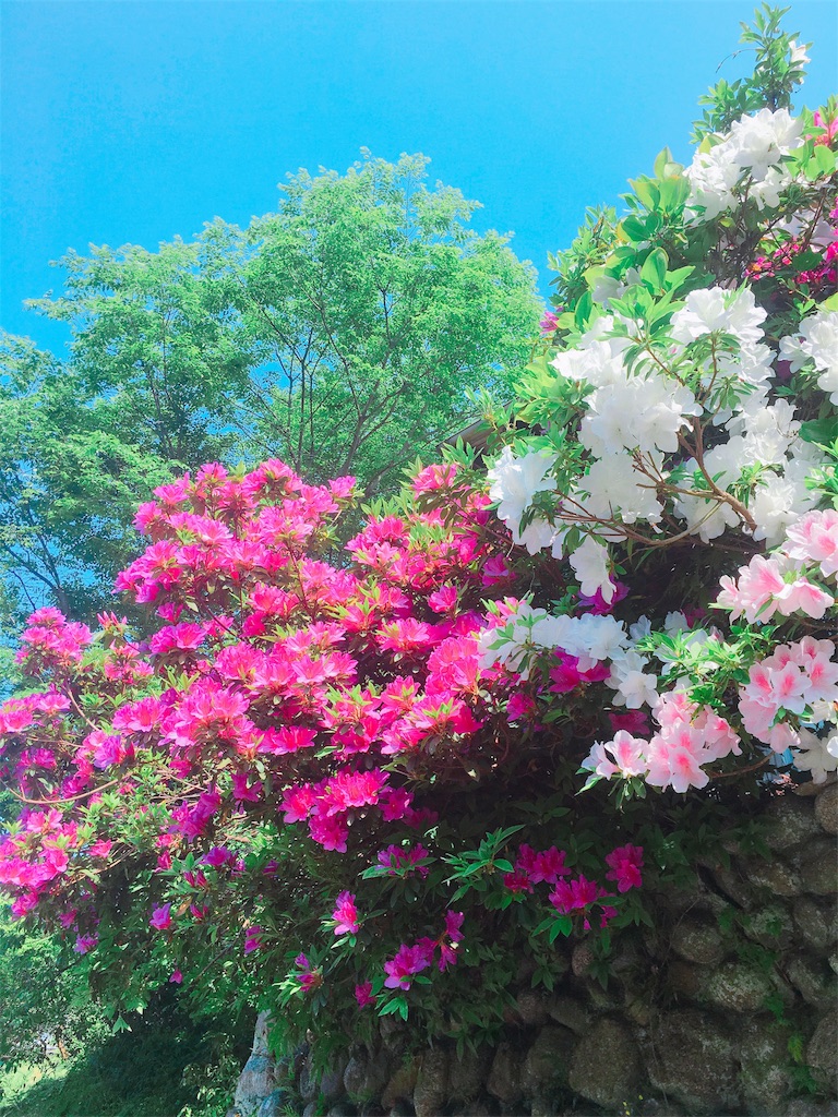 f:id:qsmet:20180506204846j:image