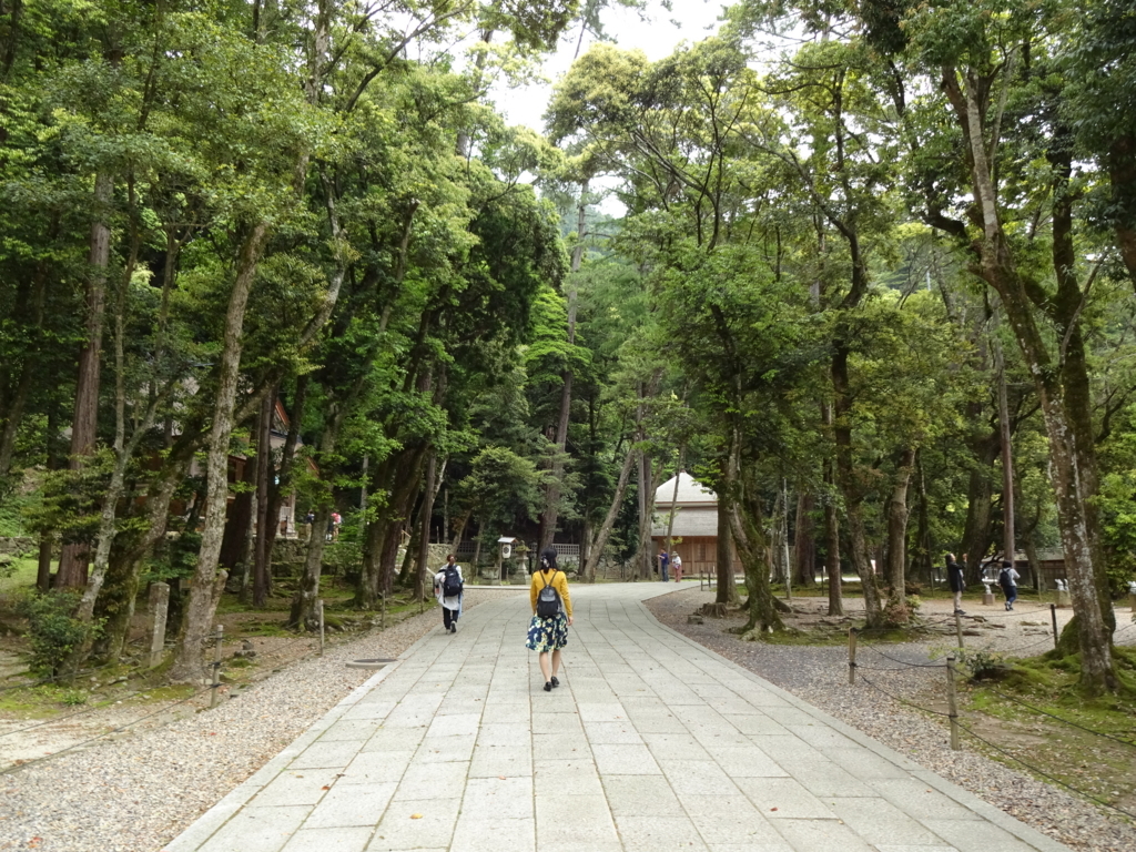 f:id:qsmet:20180513115445j:plain f:id:qsmet:20180513115445j:plain