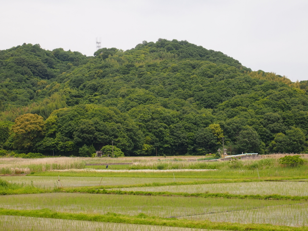 f:id:qsmet:20180527174803j:plain