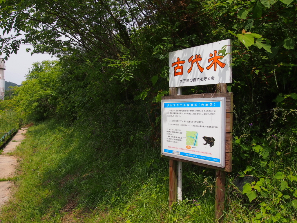 f:id:qsmet:20180527190131j:plain