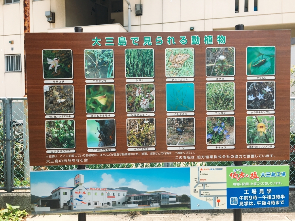 f:id:qsmet:20180527190437j:plain