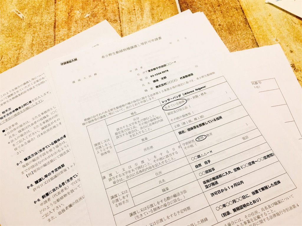f:id:qsmet:20180624203223j:image f:id:qsmet:20180624203223j:image