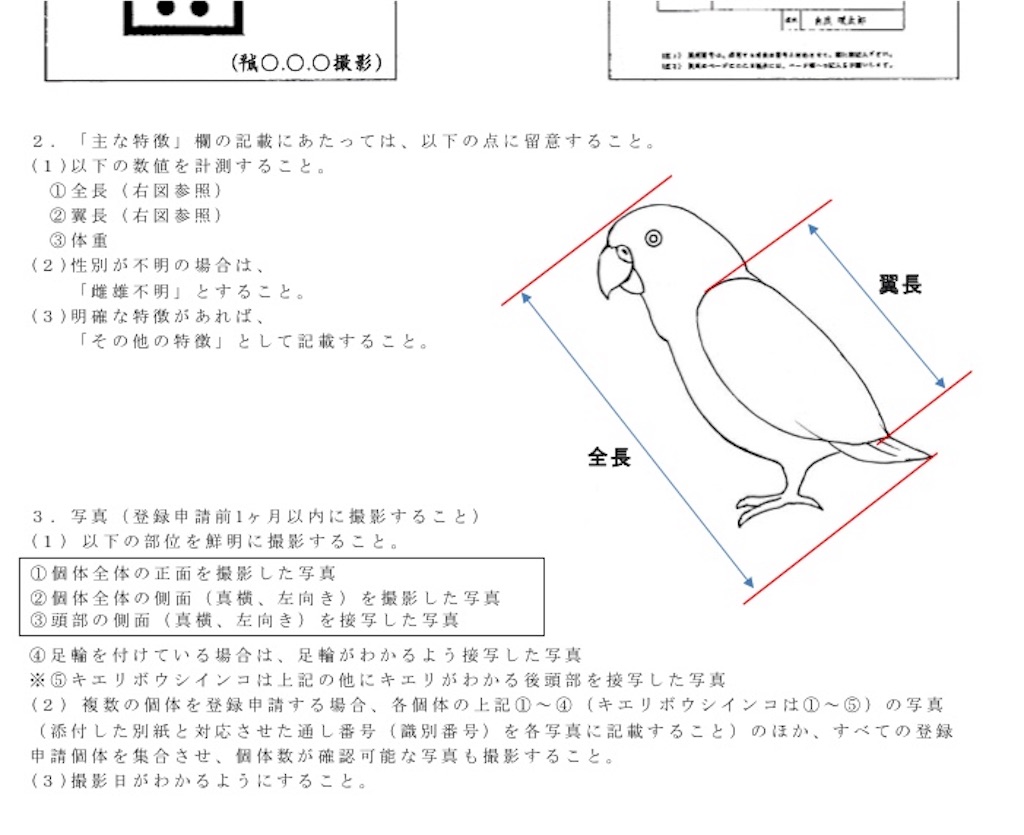 f:id:qsmet:20180624203228j:image f:id:qsmet:20180624203228j:image