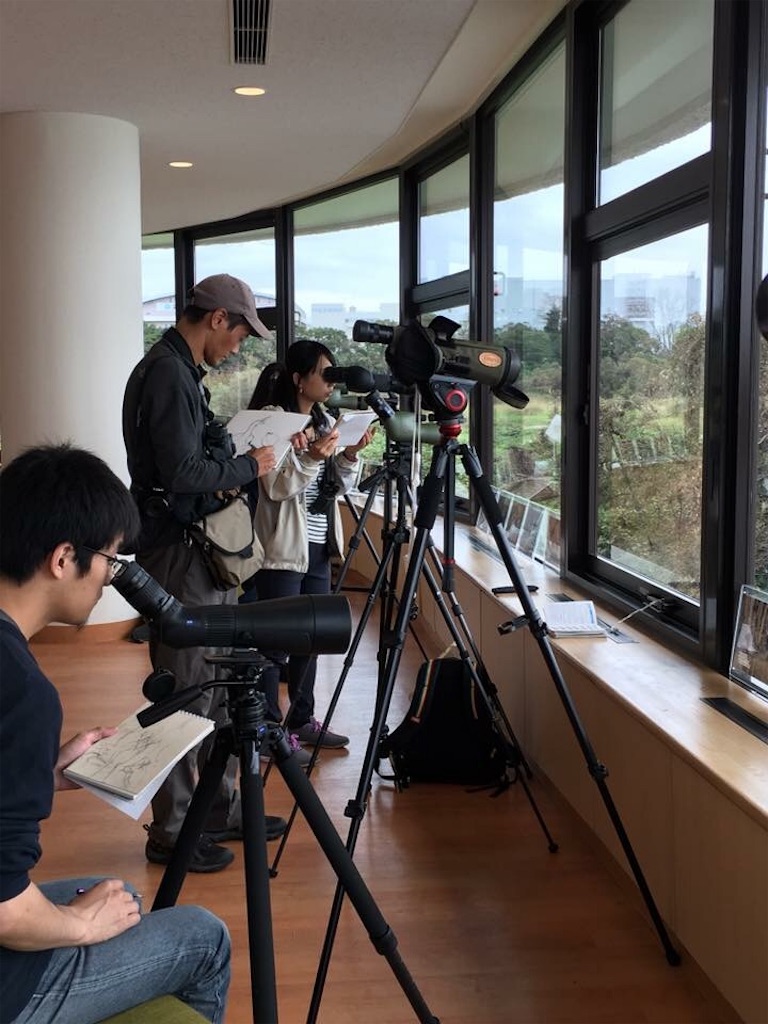 f:id:qsmet:20181015100109j:image