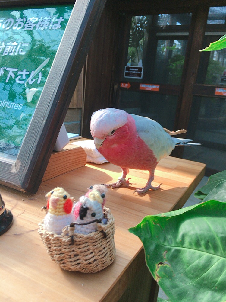 f:id:qsmet:20181226110559j:plain