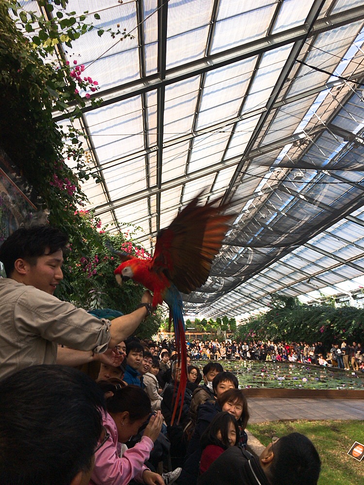 f:id:qsmet:20181226110933j:plain