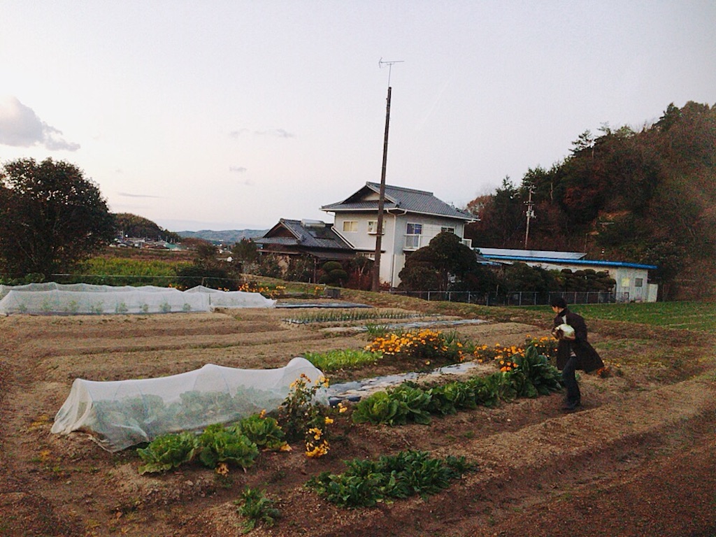 f:id:qsmet:20190101162812j:image f:id:qsmet:20190101162812j:image