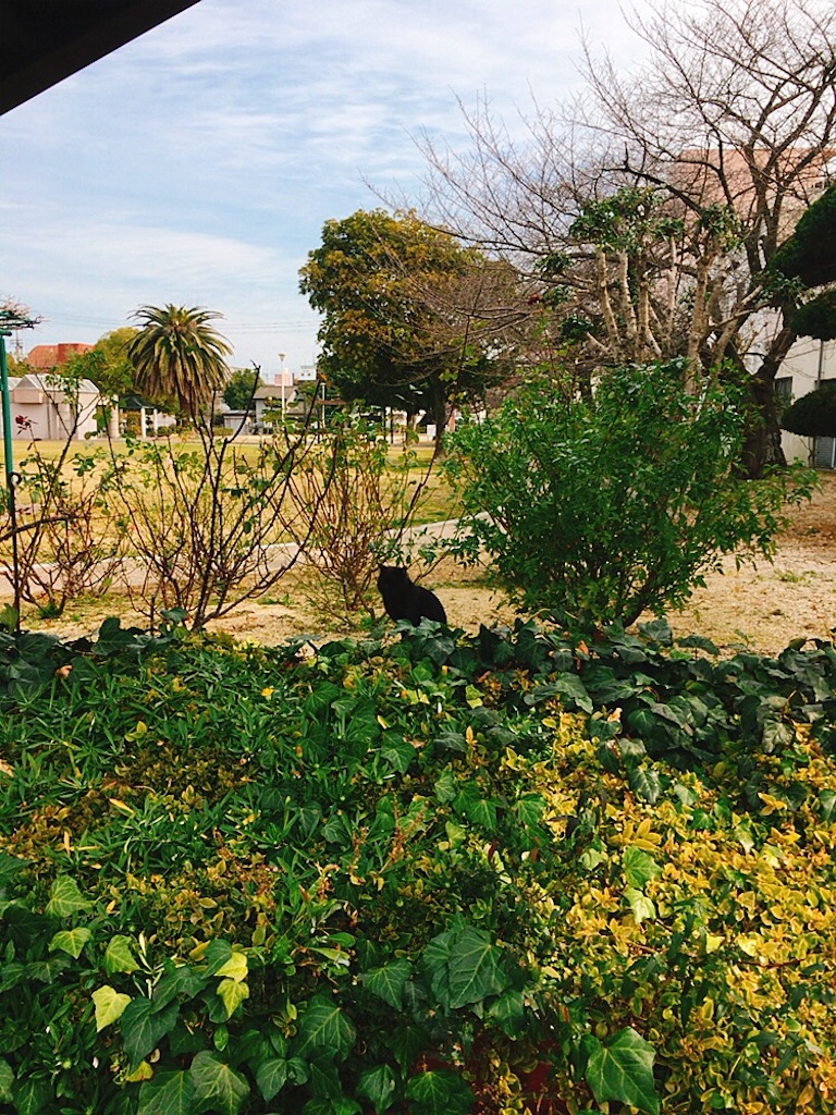 f:id:qsmet:20190225204141j:image f:id:qsmet:20190225204141j:image
