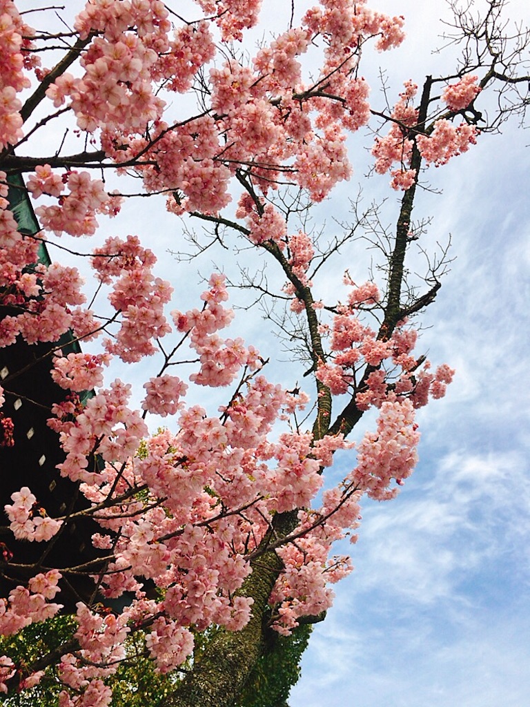 f:id:qsmet:20190225204149j:image f:id:qsmet:20190225204149j:image
