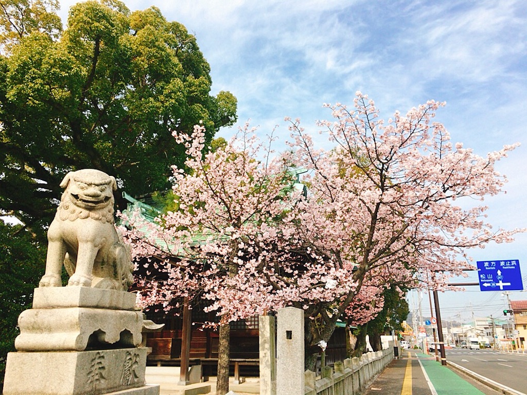 f:id:qsmet:20190225204200j:image f:id:qsmet:20190225204200j:image