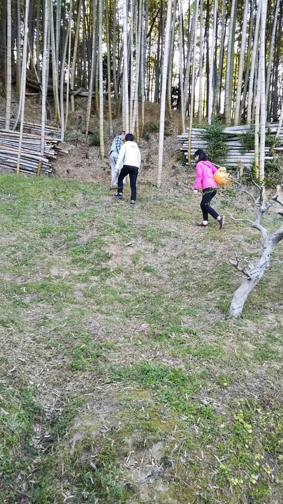 f:id:qsmet:20190502061818j:image