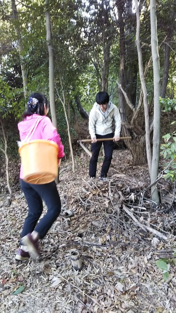 f:id:qsmet:20190502061835j:image