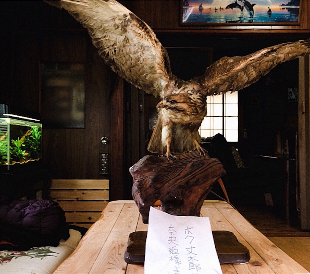 f:id:qsmet:20190502061841j:image