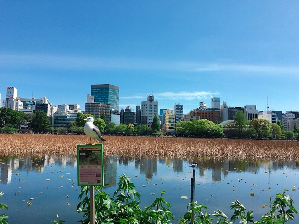 f:id:qsmet:20190502065913j:image