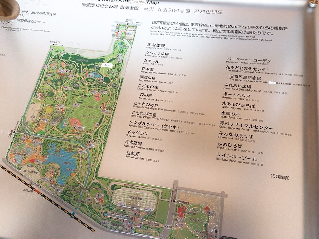 f:id:qsmet:20190502070954j:image