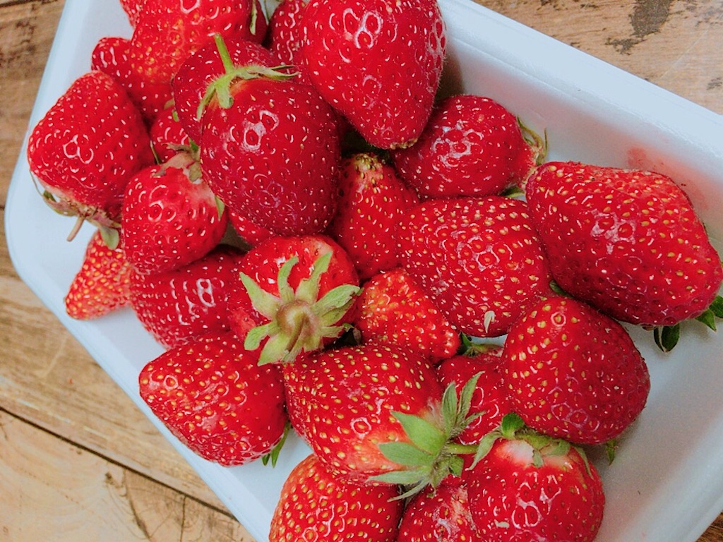 f:id:qsmet:20190505230604j:image