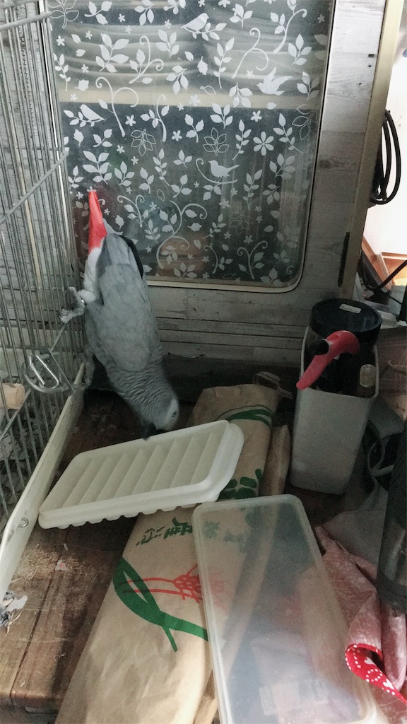 f:id:qsmet:20190529175902j:image