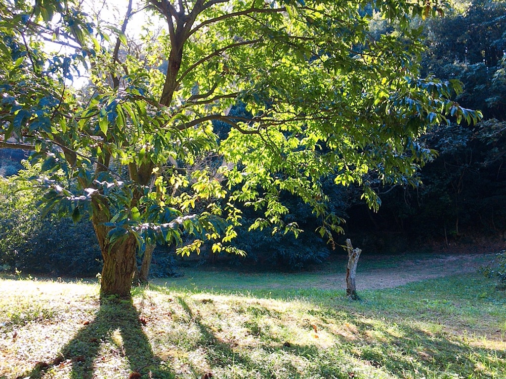 f:id:qsmet:20191006195112j:image