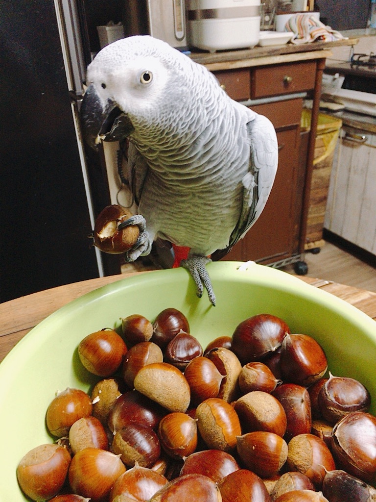 f:id:qsmet:20191006195124j:image