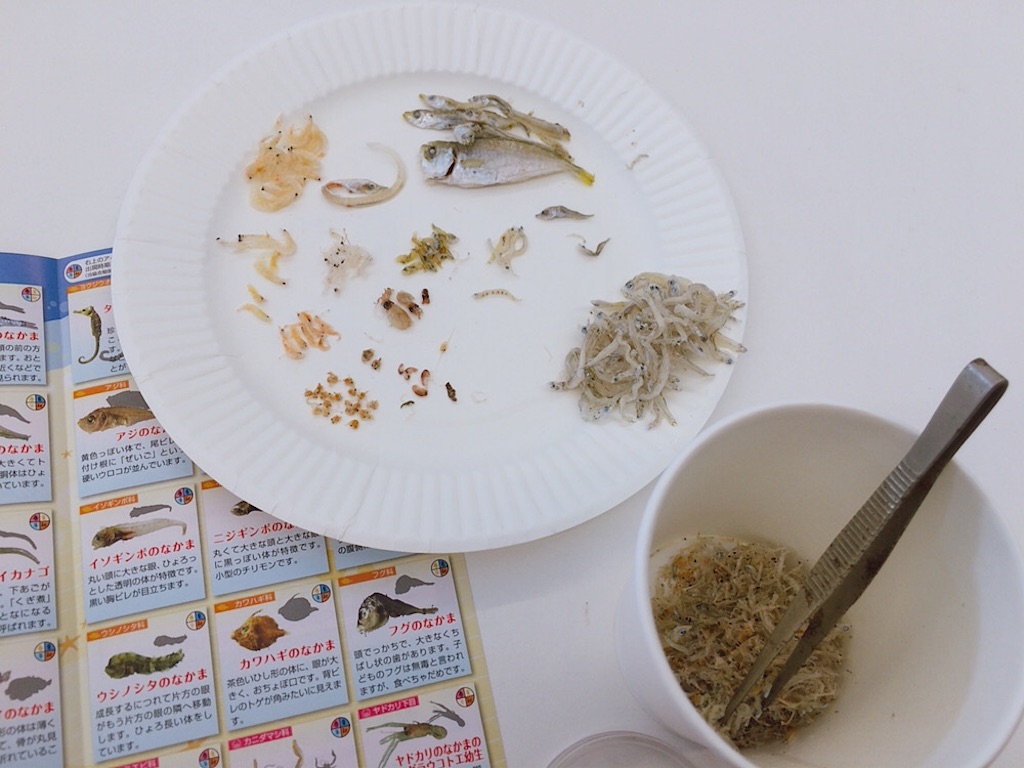 f:id:qsmet:20191110150214j:image