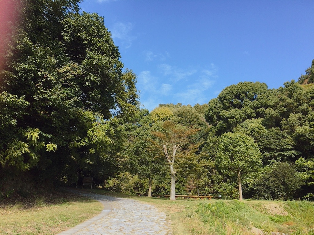f:id:qsmet:20191110150223j:image