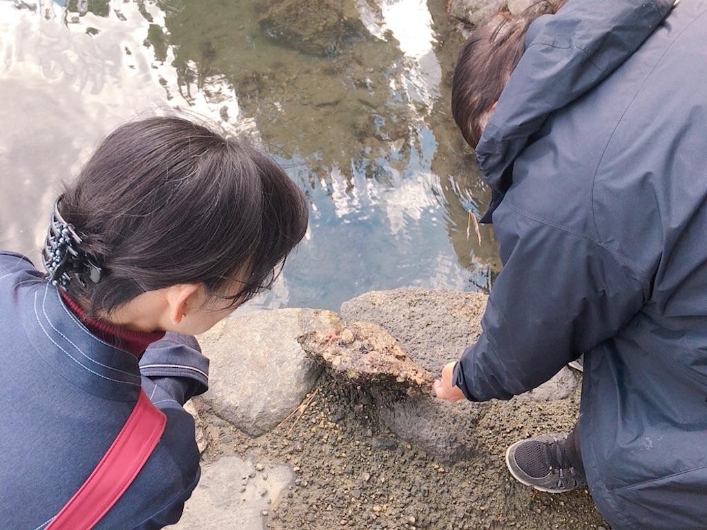 f:id:qsmet:20191130232848j:image
