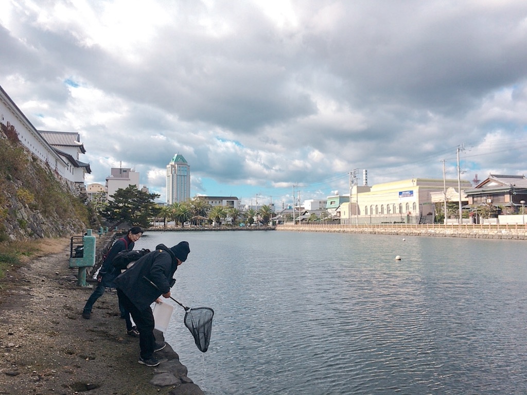f:id:qsmet:20191130232906j:image