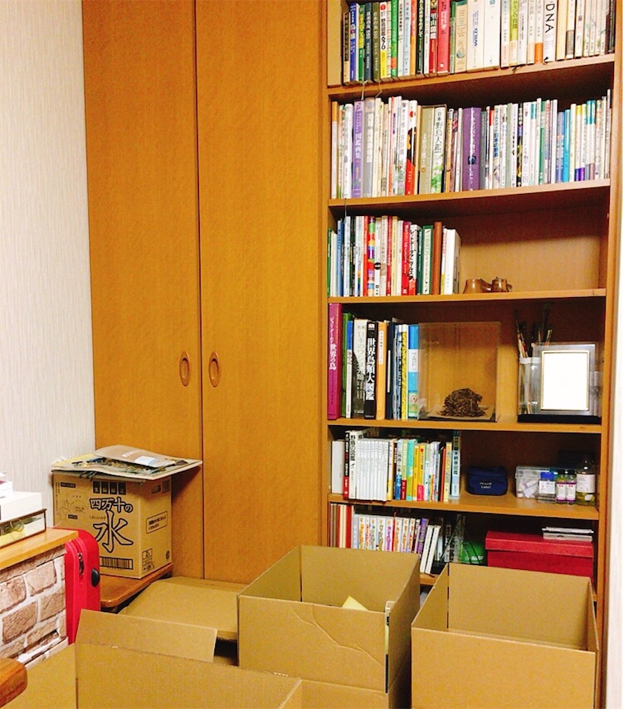 f:id:qsmet:20200203213708j:image