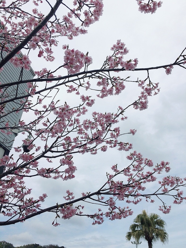 f:id:qsmet:20200301185616j:image