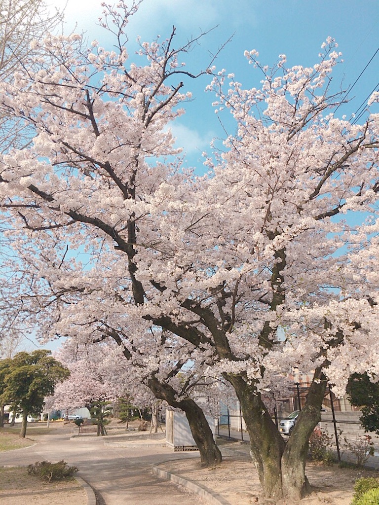 f:id:qsmet:20200331083225j:image